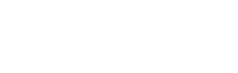 Marketing Boss